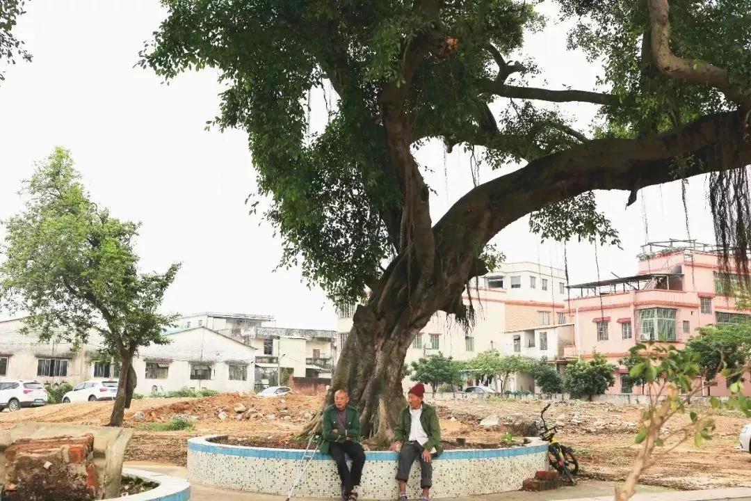 图2.jpg