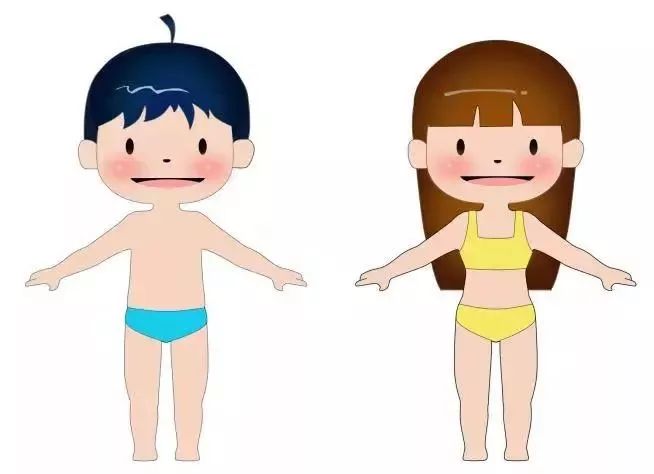 图片上的两个小朋友 穿泳衣时所遮住的地方,就是我们身体的隐私部位