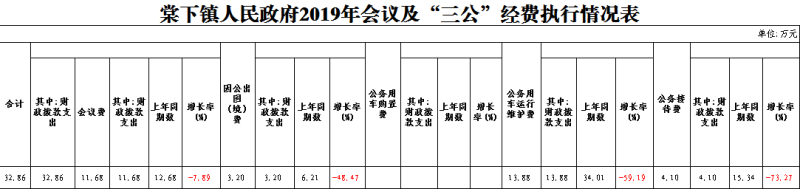 棠下镇人民政府2019年会议及“三公”经费执行情况表.PNG