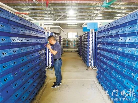 恩平市横陂镇蓝田村通过青蟹养殖,搭建产业扶贫、就业扶贫平台。