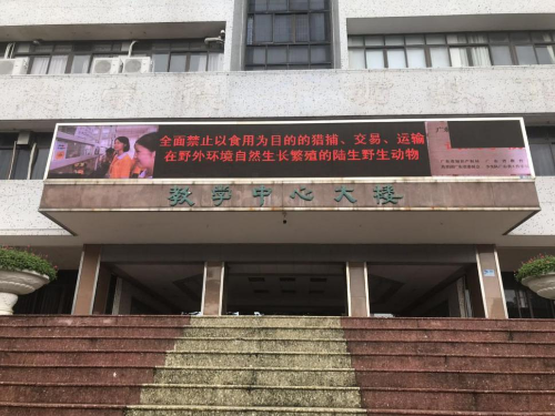 已编辑图片