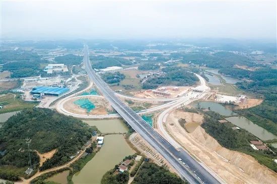 宏伟的广中江高速沙富立交。 图片