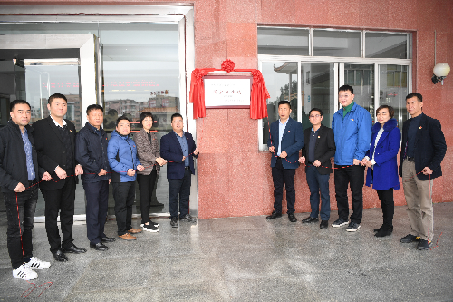 由表及里发生蝶变，蓬江棠下挂牌国家卫生镇（配图）.jpg