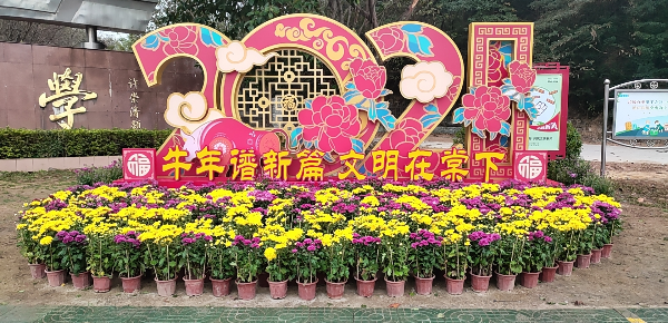 2021年春节镇府门前花灯（棠下中学位置）.jpg