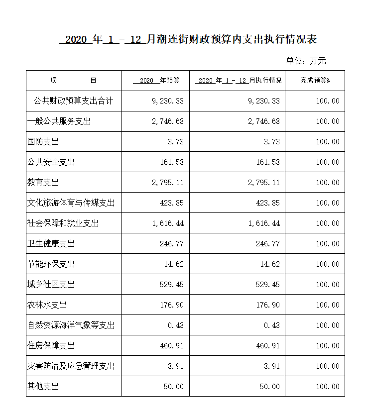 2020年1-12月潮连街财政预算内支出执行情况表.png