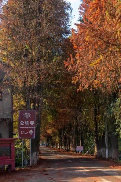 微信图片_20220127105858.jpg