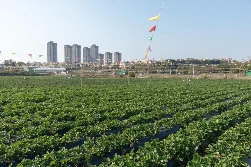 微信图片_20220127164550.jpg