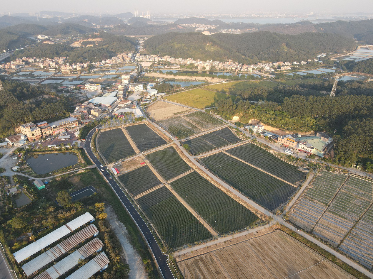 6.五洞村“四好农村路”.png