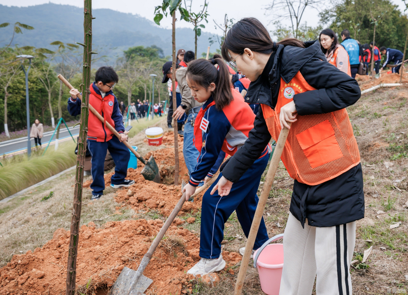 江门市范罗冈小学.jpg