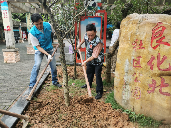 已编辑图片