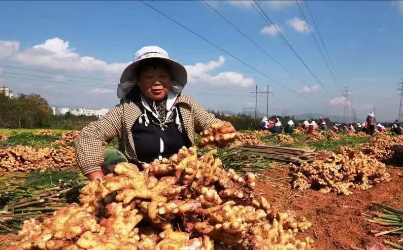 微信图片_20241017145647.jpg
