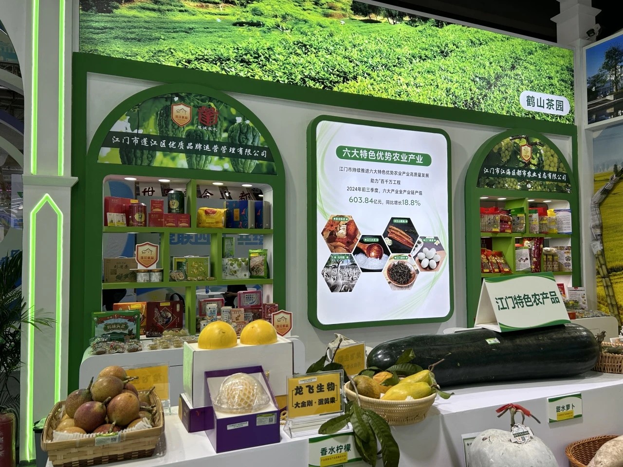 微信图片_20241212110351.jpg