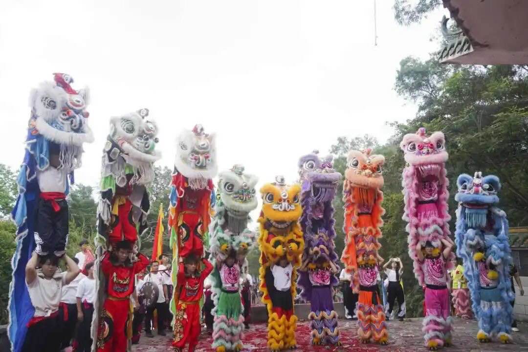 周家拳祭祖盛典在棠下镇热闹举行 非遗文脉永续相传