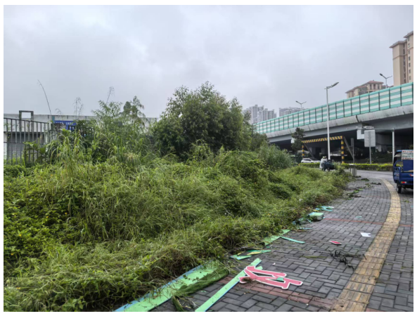 截图_选择区域_20260921155015.png