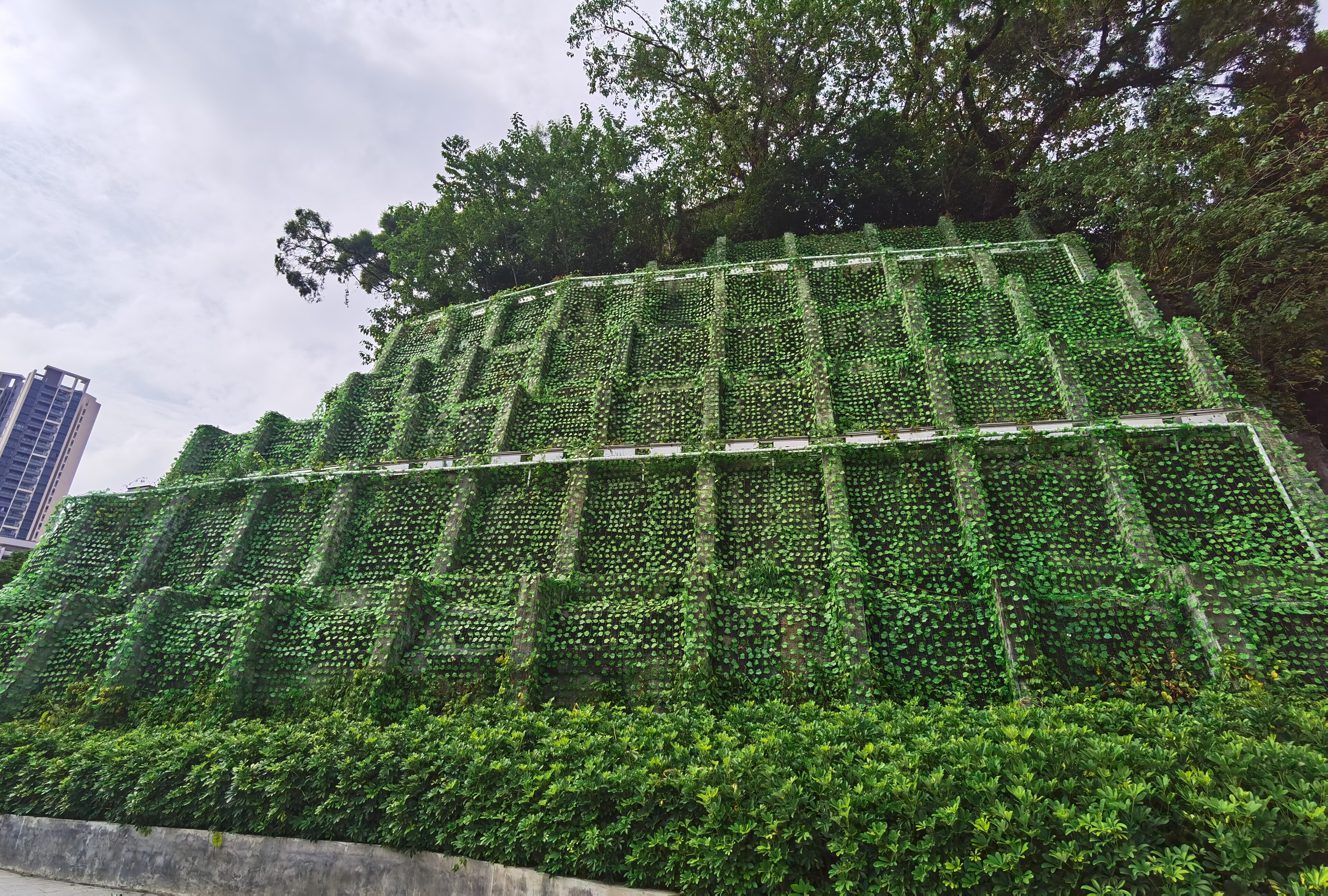 办实事丨建设美丽边坡为城市添新衣
