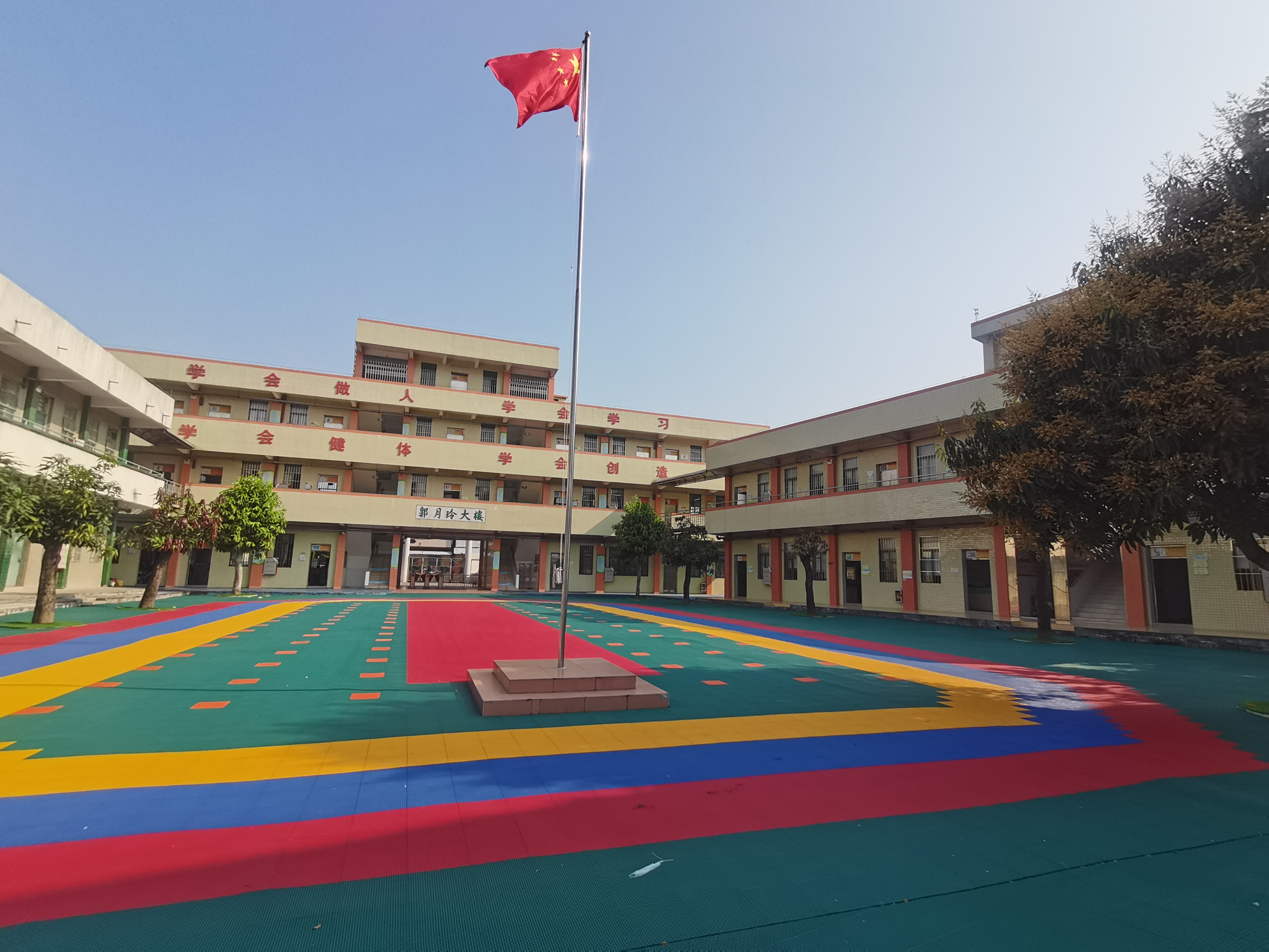 江门市蓬江区棠下镇大林小学校内.jpg