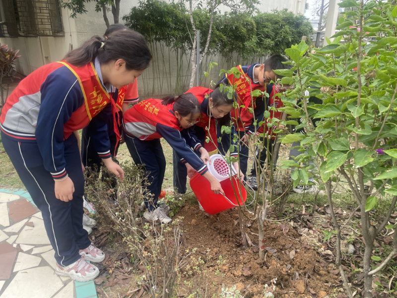 已编辑图片