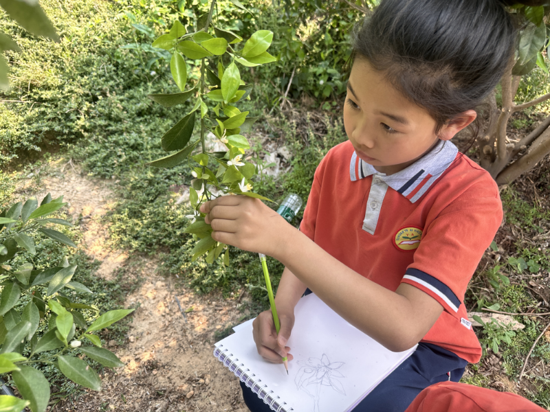 19.叶蔼小学.jpg