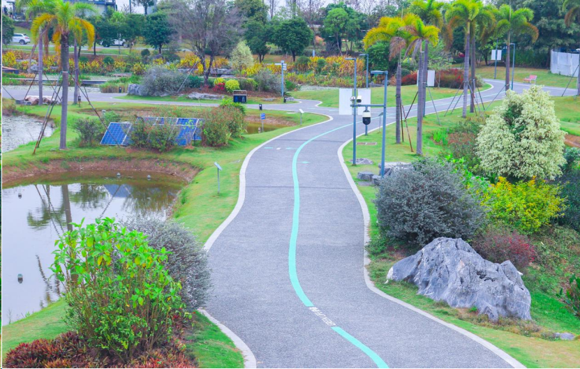 踏青正当时来蓬江解锁春日盛景